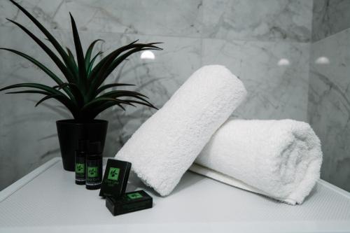 a bathroom with two towels and a potted plant at Dolce Casa in Corfu