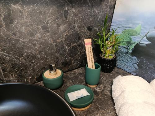 a bathroom with a sink and some plants on a counter at Apartment Bogunovic in Bar