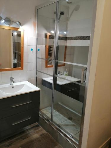 a bathroom with a glass shower and a sink at Spacieux T3 lumineux dans quartier historique avec wifi in Redon