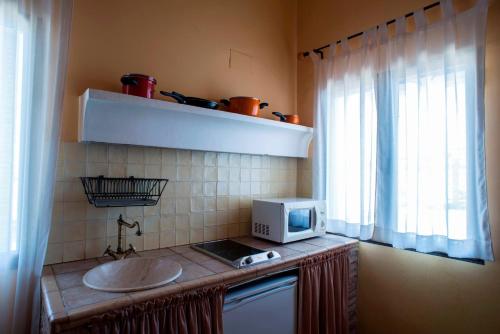 eine Küche mit einer Spüle und einer Mikrowelle auf der Theke in der Unterkunft La Aldeílla in Aldeaquemada