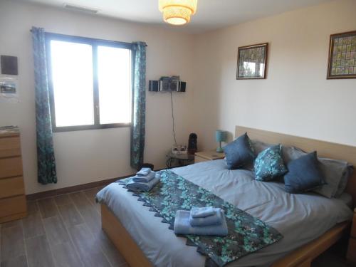a bedroom with a bed with blue pillows and a window at Coeur de Bonnieux in Bonnieux
