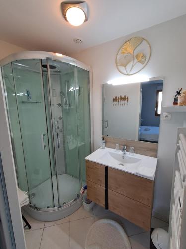 a bathroom with a shower and a sink at La salicorne in Pendé