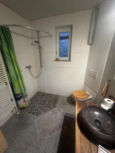 a bathroom with a shower and a sink at Bauernhof Privatzimmer Free WiFi Gemeinschaftsbad in Hausbreitenbach