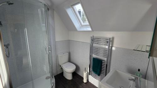 a bathroom with a toilet and a shower and a sink at Bunroy Park in Fort William