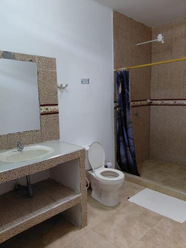 a bathroom with a toilet and a sink and a shower at Finca Montenegro Quindio in Montenegro
