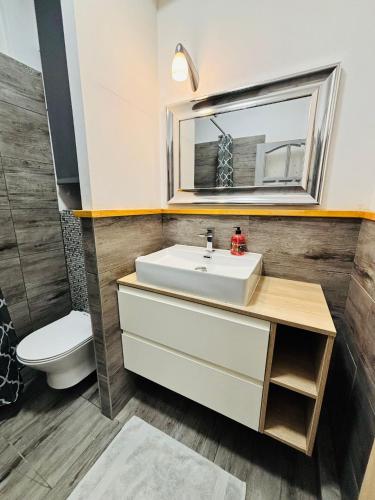 a bathroom with a sink and a toilet at Gdynia Abrahama 48 in Gdynia