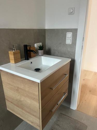 a bathroom with a sink in a room at Villa Lidl Ferienwohnung in Altaussee