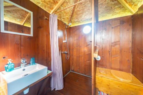 a bathroom with a sink and a shower at Le Cocon de Tranquillité au Cœur de la Campagne in Les Pégués