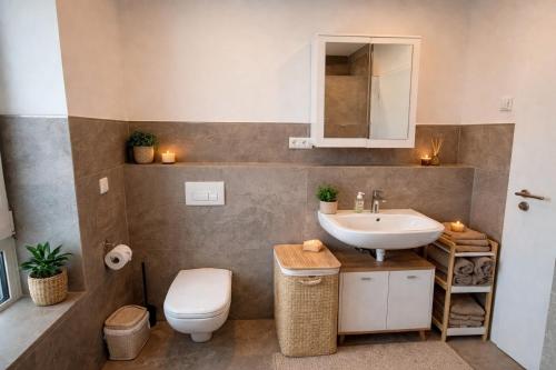 a bathroom with a sink and a toilet and a mirror at Heide-deluxe in Soltau