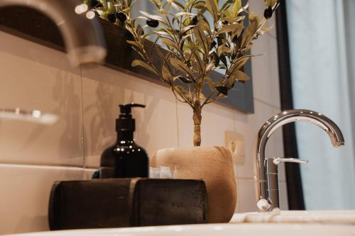 a bathroom sink with a bottle of soap and a plant at Cé La Vie in Maaseik