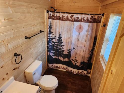 a bathroom with a toilet and a shower curtain at Freedom Ridge Cabins in Hill City