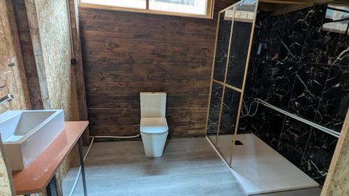a bathroom with a toilet and a sink and a shower at Bungalow TRADICIONS en FincaReal in Negreira