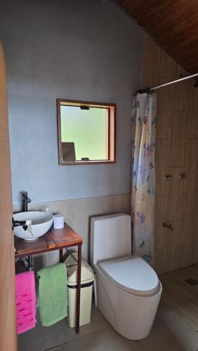 a bathroom with a toilet and a sink at Casa de Primo in Puno