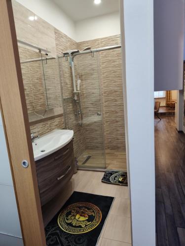 a bathroom with a shower and a sink at Robert's Apartment in Celje