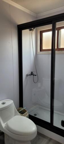 a bathroom with a white toilet and a shower at Aegla lodge in Pichilemu