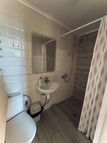 a bathroom with a sink and a toilet and a shower at Вершина in Vorokhta