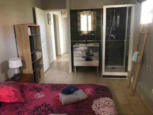 a bathroom with a shower and a bed and a sink at Grain de Corail in Saint-François