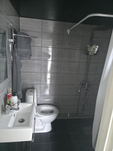 a bathroom with a toilet and a sink and a shower at Boutique apartment in Strömstad in Strömstad