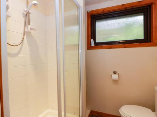 a bathroom with a shower and a toilet and a window at Thistle Lodge in Dunoon