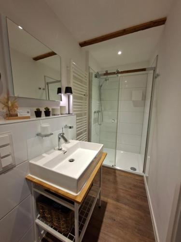 a bathroom with a sink and a shower at Lachmöwe by DeJu -4 Sterne DTV-Klassifizierung- in Norderney