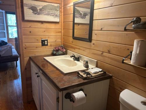 a bathroom with a sink and a mirror at Ducks Nest Retreat- Close to Ocoee river in Turtletown