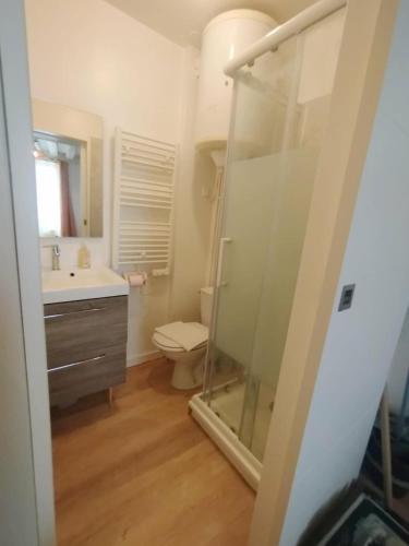 a bathroom with a shower and a toilet and a sink at Le Petit Cocon d'Orléans in Orléans