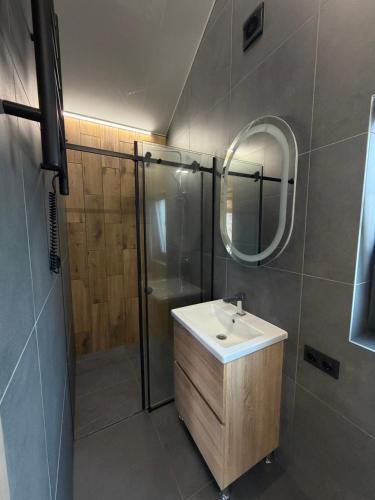 a bathroom with a sink and a shower with a mirror at Nest house in Skole