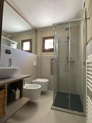 a bathroom with a shower and a toilet and a sink at New IL RICCIO in Cernobbio