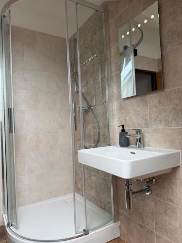 a bathroom with a sink and a shower at JEZ&SPI Plánice in Plánice