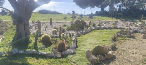 a garden with cacti and rocks in a field at Presidential Beach Villa in Alyfantá