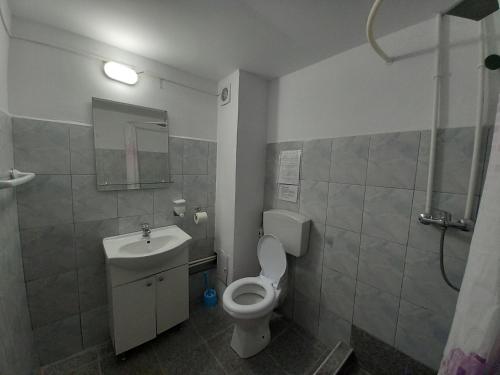 a bathroom with a toilet and a sink and a shower at Casa Paloma in Costinesti