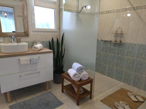 a bathroom with a shower and a sink and a shower at Fleurs de Cosmos, suite lumineuse climatisée in Albi