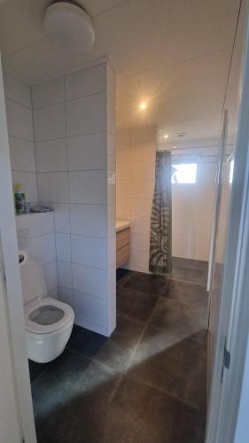 a bathroom with a toilet and a shower at 't Olde Land in Den Burg