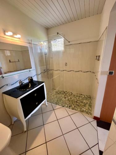 a bathroom with a sink and a shower at Maison Belle Vue in Le Robert
