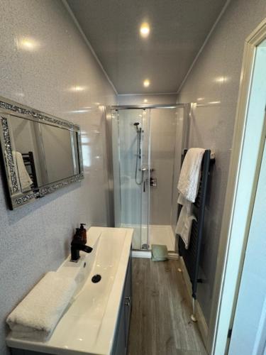 a bathroom with a shower and a white sink at The Gwydir Ground Floor Studio in Llandudno
