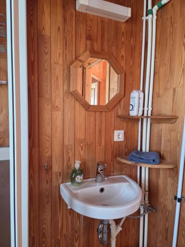 a bathroom with a sink and a mirror at Ekra Cottages in Lagarfljótsvirkjun