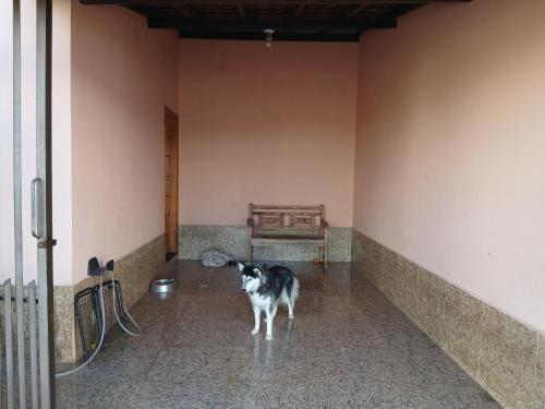 Animal o animals de companyia a Quarto Rustico em Alfenas