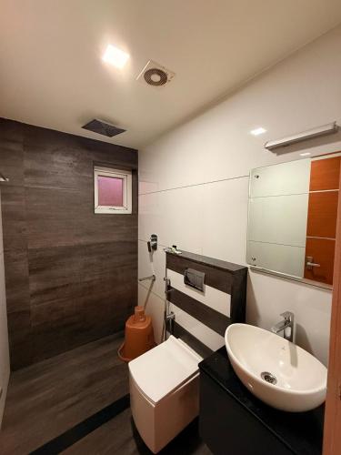 a bathroom with a sink and a toilet and a mirror at Diga Vista Lake View 4BHK Swimming Pool Cottage Munnar in Munnar