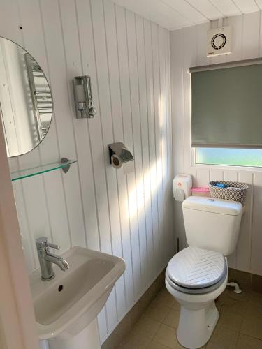 a bathroom with a white toilet and a sink at Afon Lodge in Maesmynis