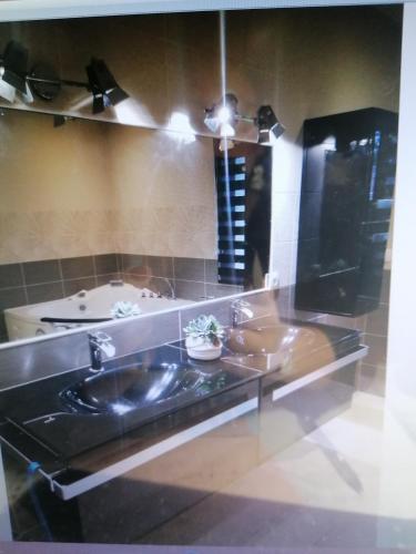 a bathroom with a sink and a counter top at Au bon moment in Rang-du-Fliers