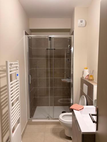 a bathroom with a shower and a toilet at Ninon et ses sommets in Cauterets