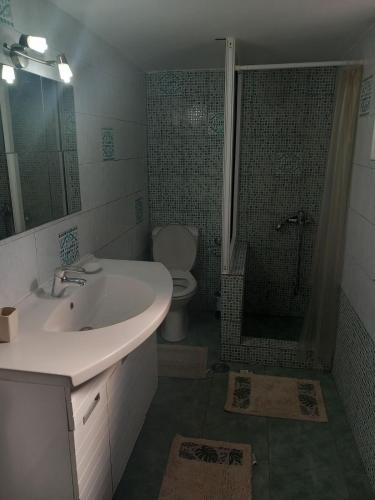 a bathroom with a sink and a shower and a toilet at Epicurus beach cottage in Kánalos