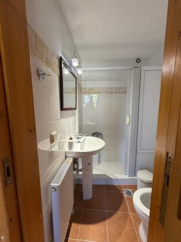 a bathroom with a sink and a toilet at Apollon Heritage House in Palaiókipos