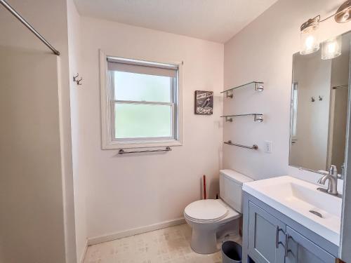 a bathroom with a toilet and a sink and a window at Lakefront Dock Fire Pit Hot Tub Value in Swanton