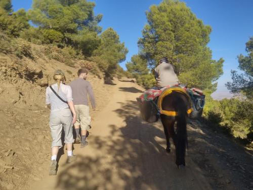 a couple of people walking down a dirt road with a horse at Sidi hssain in Amizmiz
