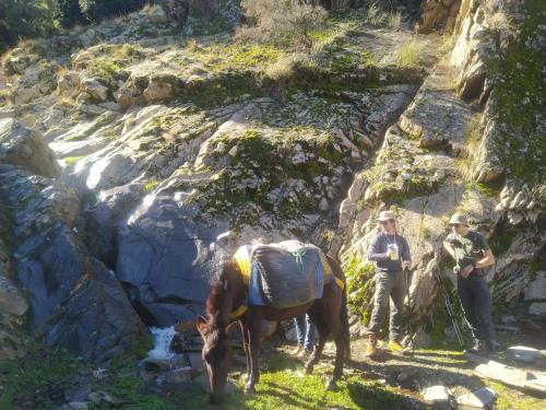 two people and a horse and a cat on a mountain at Sidi hssain in Amizmiz