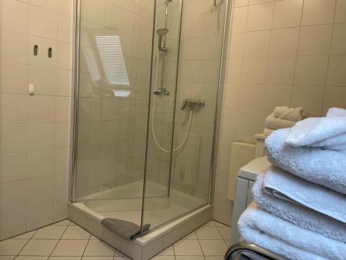 a shower stall in a bathroom with blue towels at Giebelblick Barweiler in Barweiler