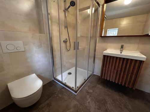 a bathroom with a shower and a toilet and a sink at Chalupa u Lacinů in Mirošovice