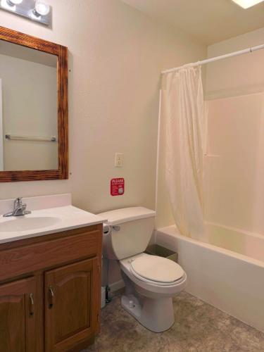 a bathroom with a toilet and a sink and a tub at Cabin #1 on Meramec River in Steelville