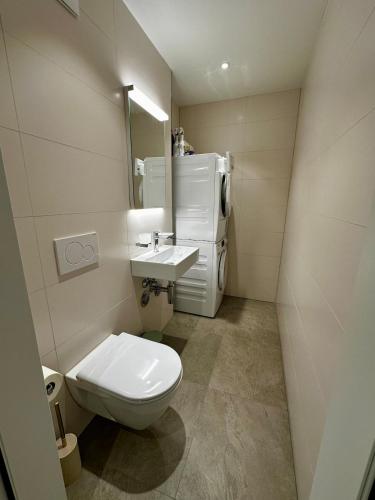 a small bathroom with a toilet and a sink at Seeblick Wohnung in Wollishofen in Zurich